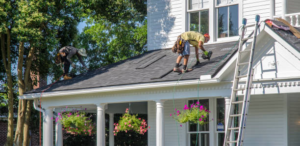 Best Roof Gutter Cleaning  in Rock Hill, NY